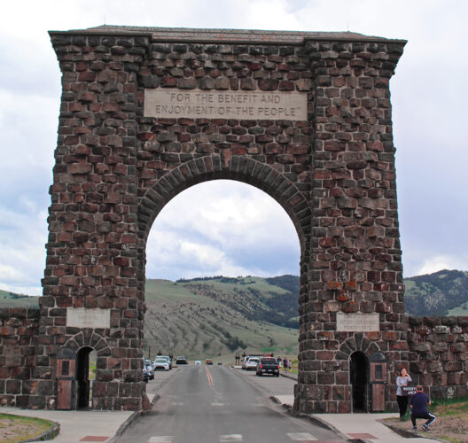 Yellowstone Animals Image